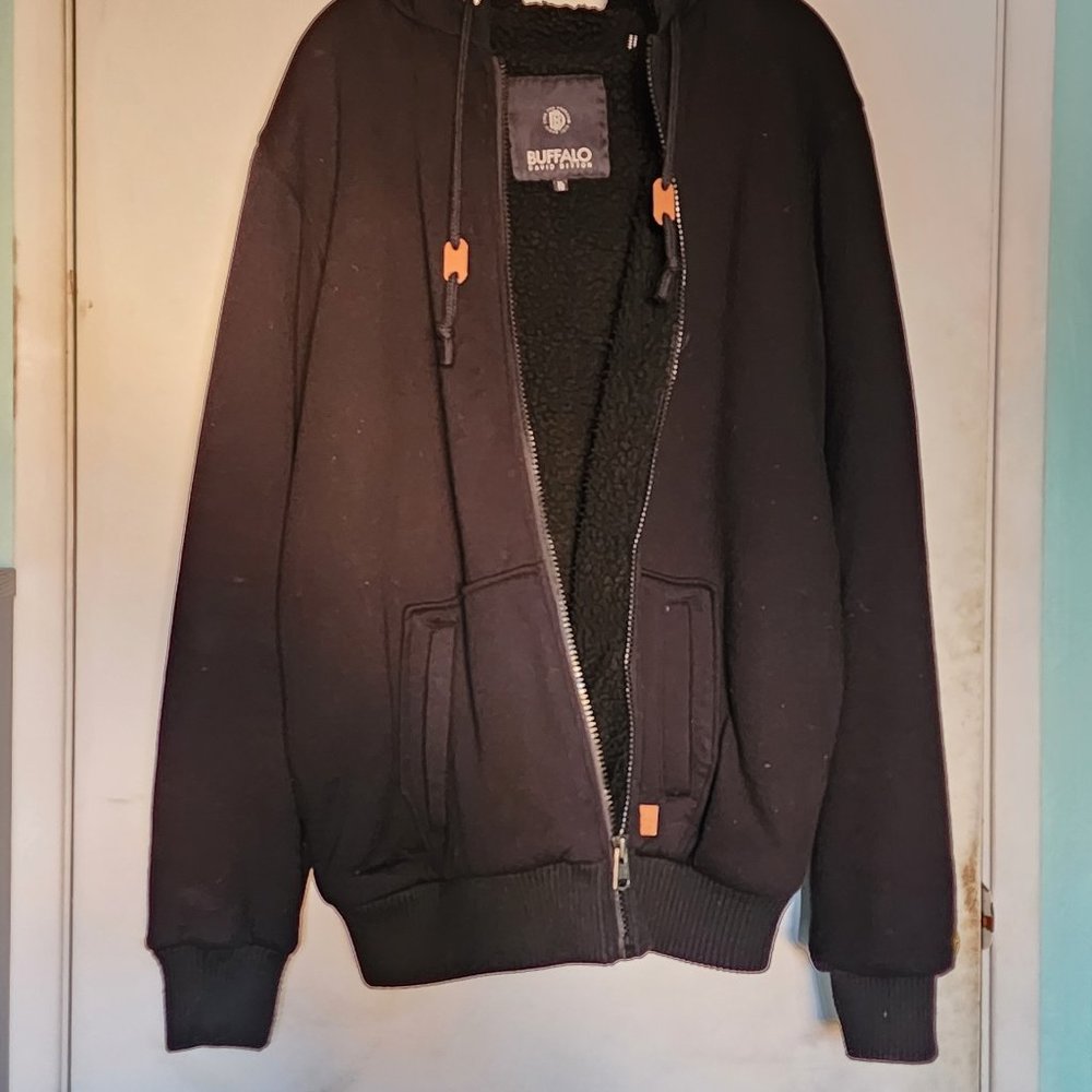 Buffalo By David Bitton - image 1